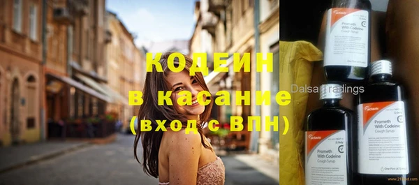 шишки Аркадак