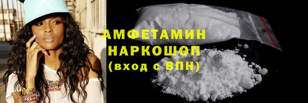 шишки Аркадак