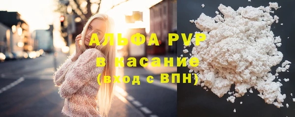 шишки Аркадак